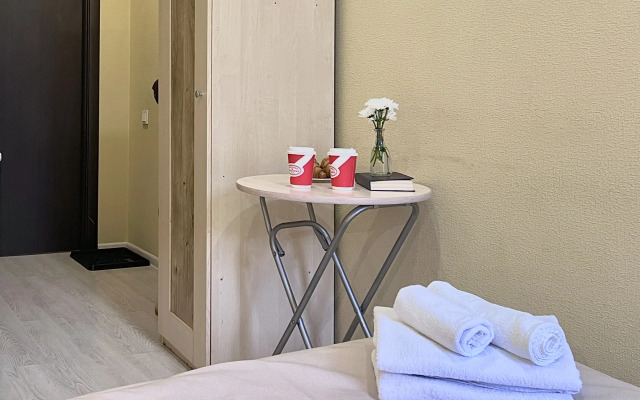 Апартаменты SyncotelHome Аничков Бридж 1 1