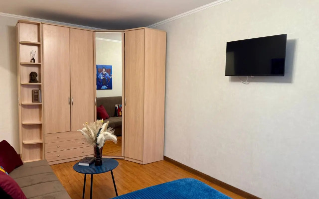 Квартира Однушка Пушкин в центре