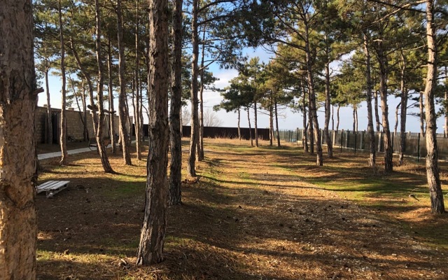 Peschanyij Bereg Mini-hotel