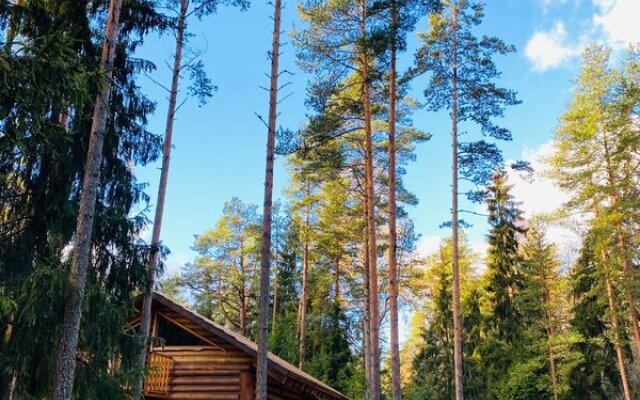 Туристическая Деревня Кургала в Косколове отзывы, цены и фото номеров - забронировать гостиницу Туристическая Деревня Кургала онлайн Косколово