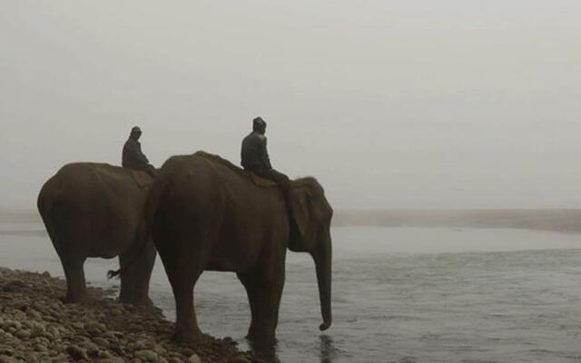 Кемпинг Tigertops Elephant Camp