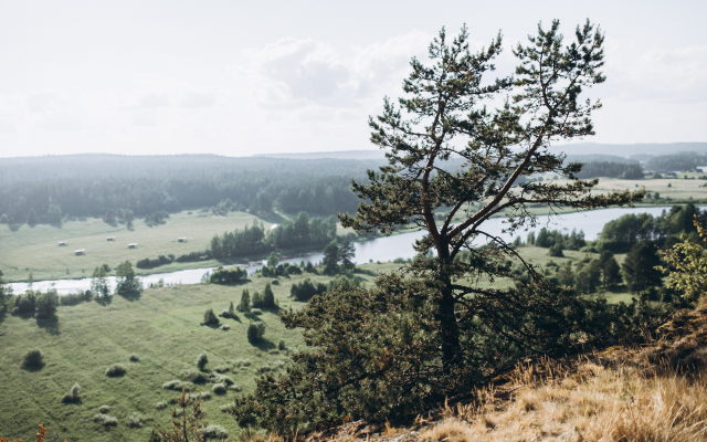 Глэмпинг Lago Ladoga