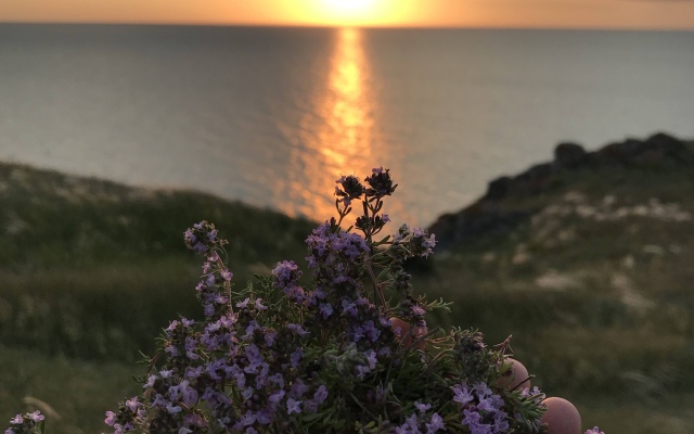 Гостевой Дом Уютный дом на берегу моря