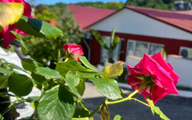 Baunti Guest house