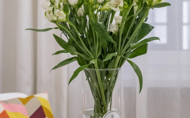 Апартаменты Современные Царская Столица в Центре