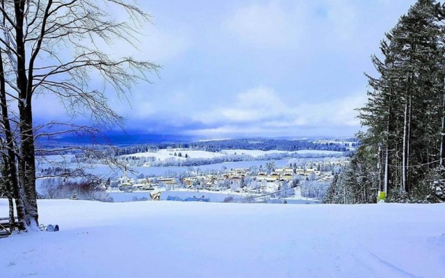 Lipno Desta Resort