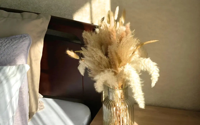 Apartments v Siriuse