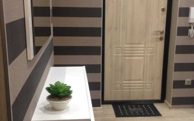 Novye Dvukhkomnatnye  V Tsentralnom Rayone Apartments