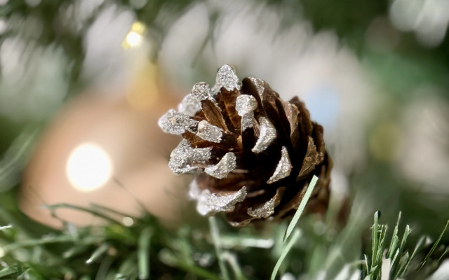 Квартира Комфортная в центре города