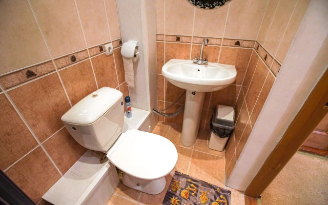 Borviha Mini-Hotel