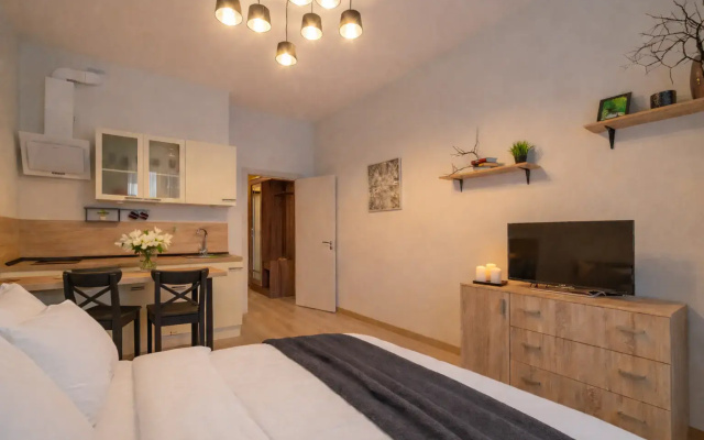 Апартаменты Студия Natalie Apartments Пулковское шоссе 14с6