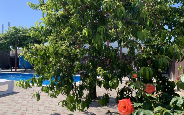 Nadezhda Guest house