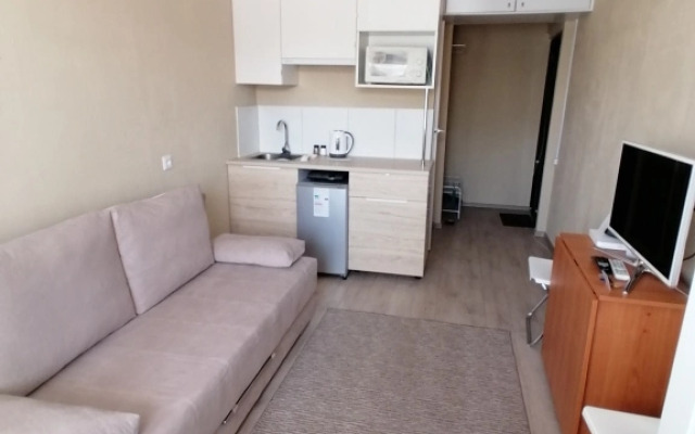 Апартаменты Уютная Студия в Скандинавском Стиле 1