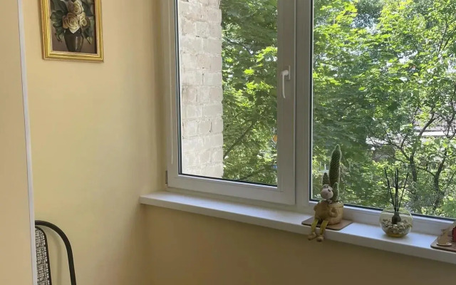 Uyutnaya Kvartira v centre goroda