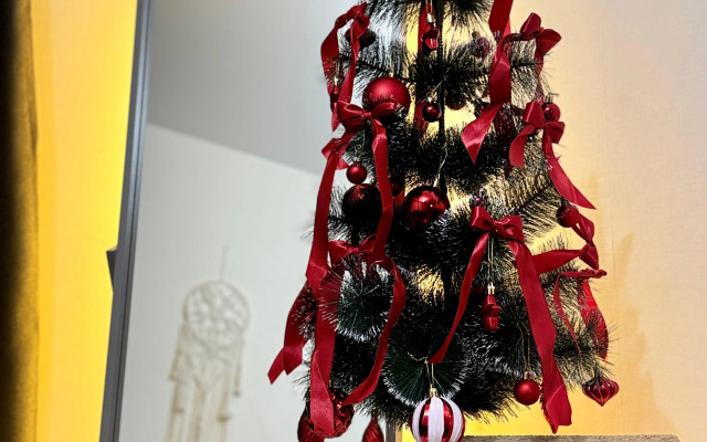 Квартира Современная для праздников