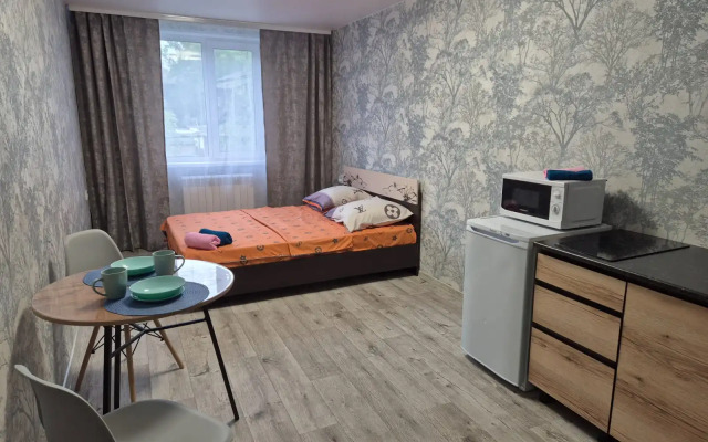 Na Petropavlovskoj Flat