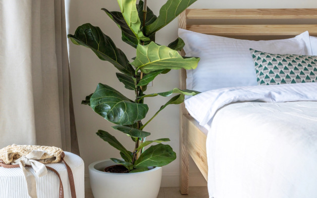 Bali By Pavlov Apartments