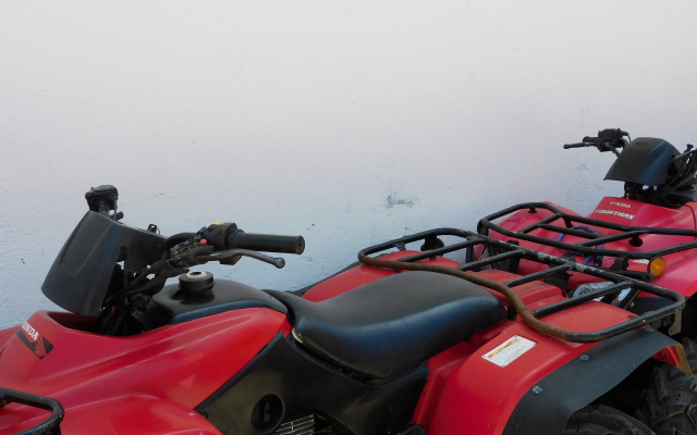 Отель Casa de Huespedes Nayomi By Rotamundos