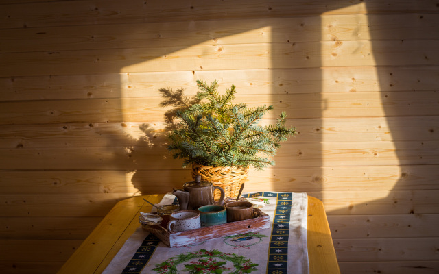 Мини-отель Дача