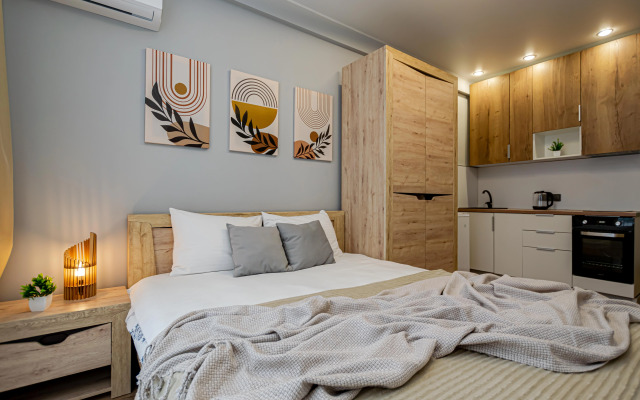 Квартира Уютная Атмосферная Студия у Цирка