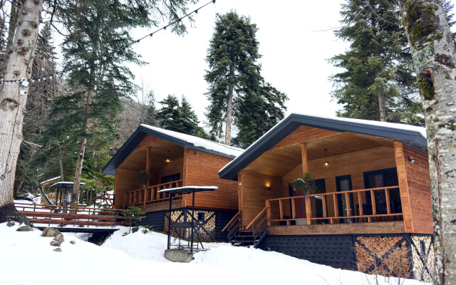 Шале Премиум Зарево 1