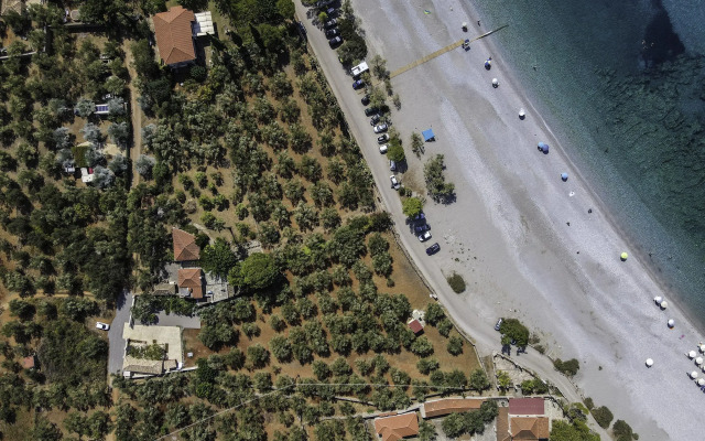Olive Grove by the Sea Kardamyli Private house
