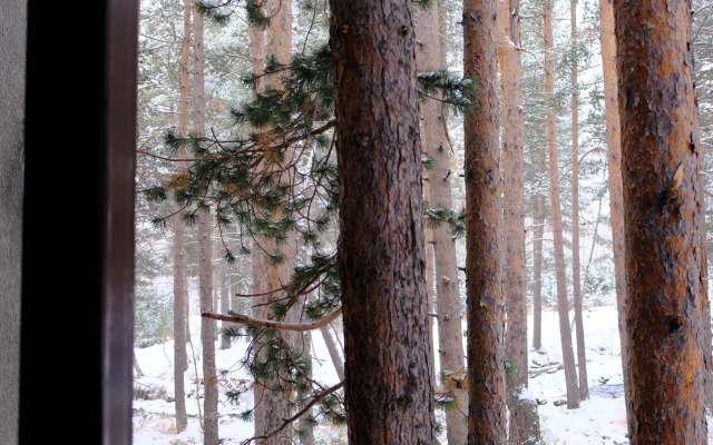 Квартира уютная от Квартирукинга