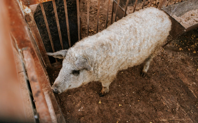 Agroturisticheskij Kompleks El Rancho Hotel