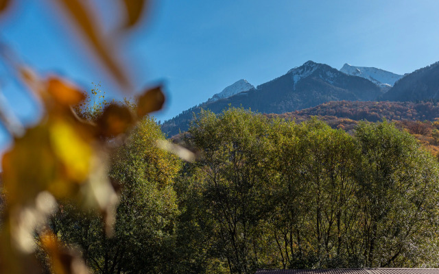 Квартира в Красной Поляне