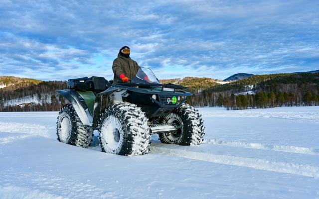 Отель Ель и Пихта