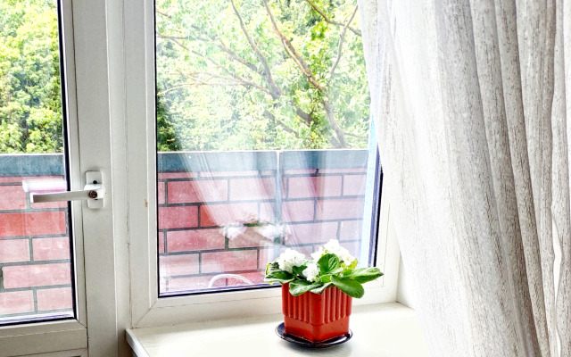 Апартаменты Vitamin