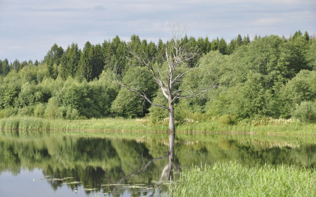 База отдыха Агротуристический комплекс El Rancho