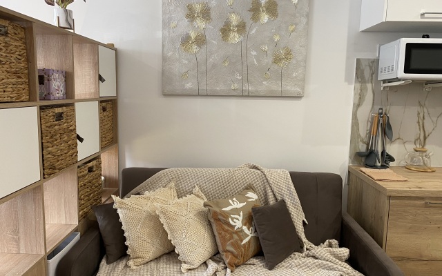Apartamenty Studiya Skandi S Vidom Na Kreml