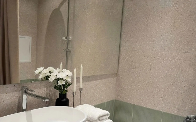 Апартаменты Большевистская