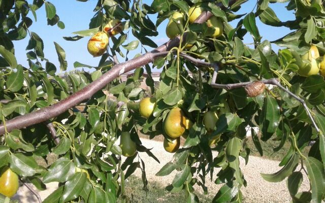 База Отдыха Эко Курорт Морское