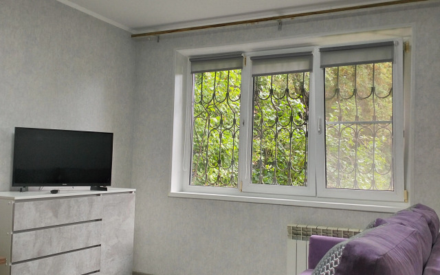 Квартира 1к Володарского 17