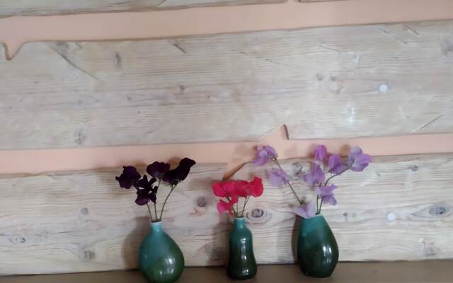 Частный дом Воскресенская дача