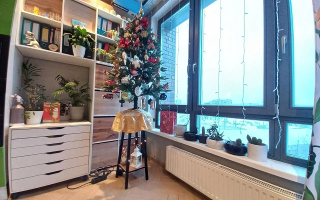 Квартира Пискаревский 1