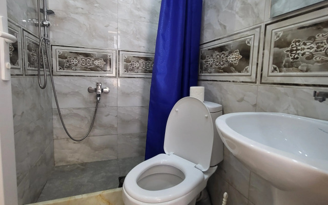 Апартаменты Shorena