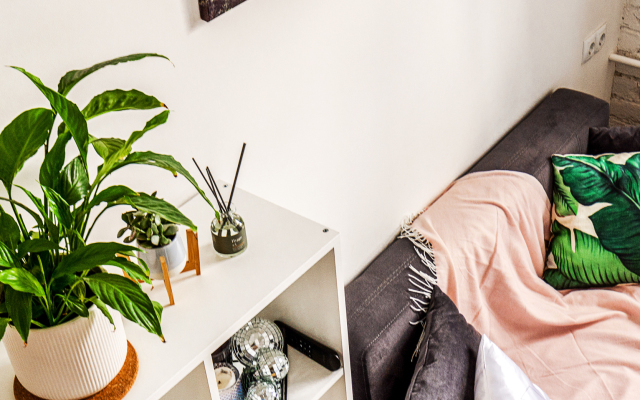 Апартаменты Studio 3 Neva