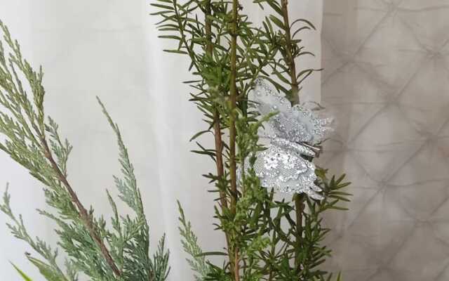 Квартира на ул.Яблочкина