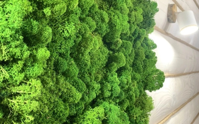 Апартаменты Эко&loft 1