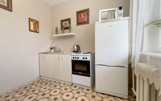 Апартаменты в Центре Засвияжского Района 11