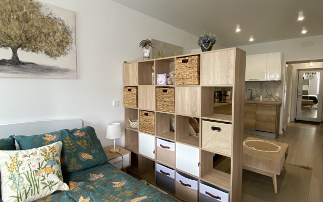 Apartamenty Studiya Skandi S Vidom Na Kreml