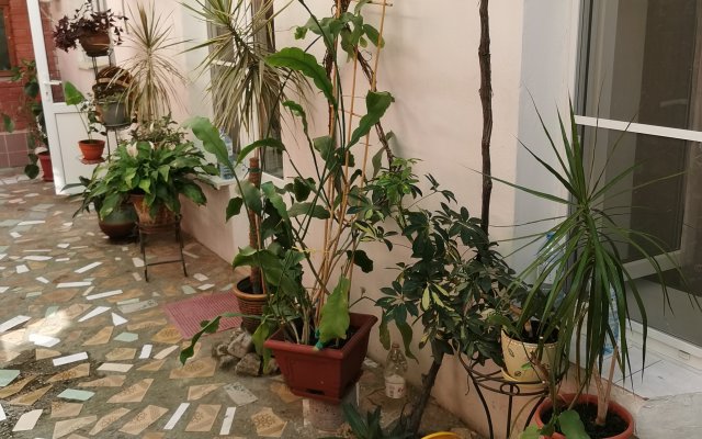 Квартира дом Людмила