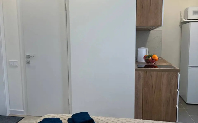 Studiya V Zhzh Prokshino Flat