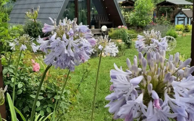 Гостевой дом Петровские Домики