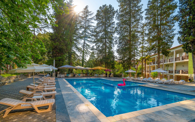 Gora Tsarya Bagrata Hotel 