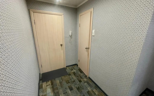 Квартира на Шерстнева 17 (59)