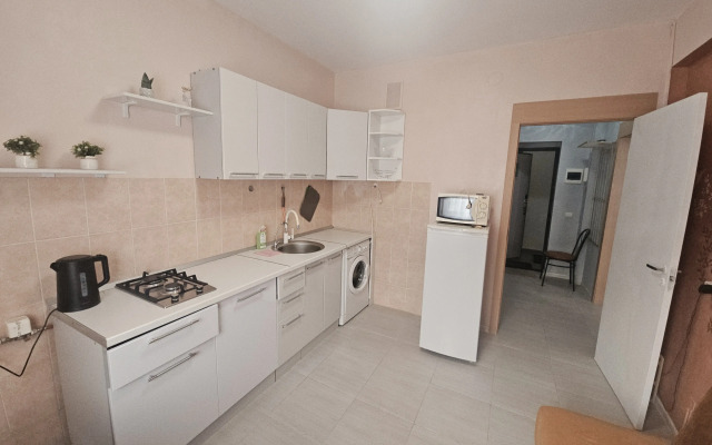 Квартира 1 спальня, кухня гостиная Комфорт Golden Holiday